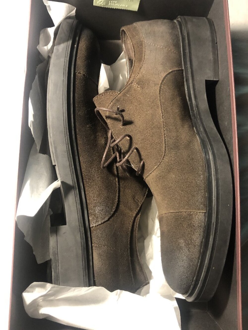 Bruno Magli Dark Brown Suede Derby